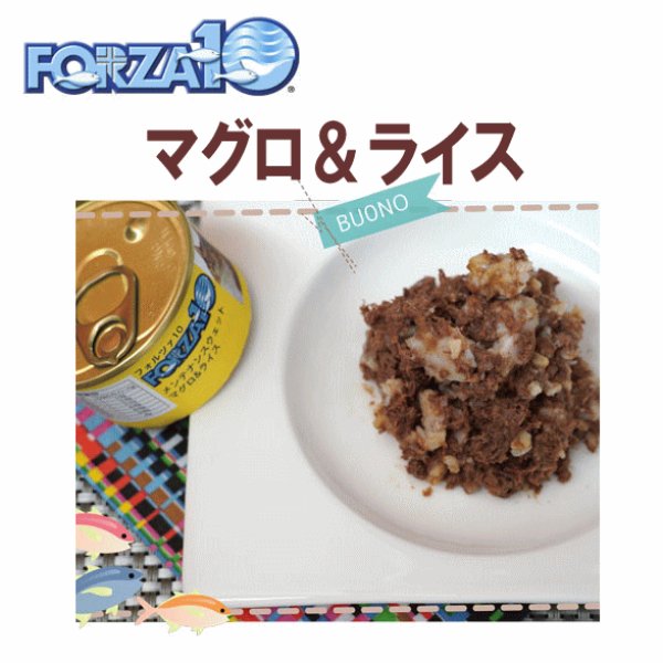 画像1: フォルツァ10（FORZA10） キャットフード メンテナンス缶 マグロ＆ライス 85ｇ (1)