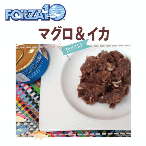 画像1: フォルツァ10（FORZA10） キャットフード メンテナンス缶 マグロ＆イカ 85ｇ (1)