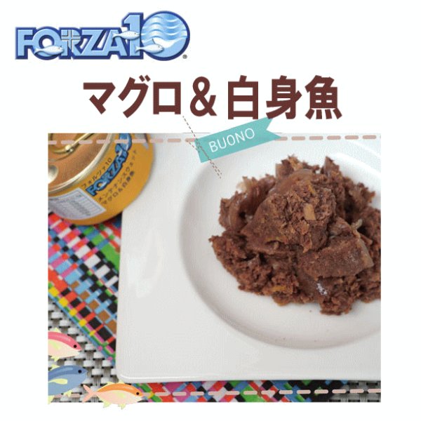 画像1: フォルツァ10（FORZA10） キャットフード メンテナンス缶 マグロ＆白身魚 85ｇ (1)