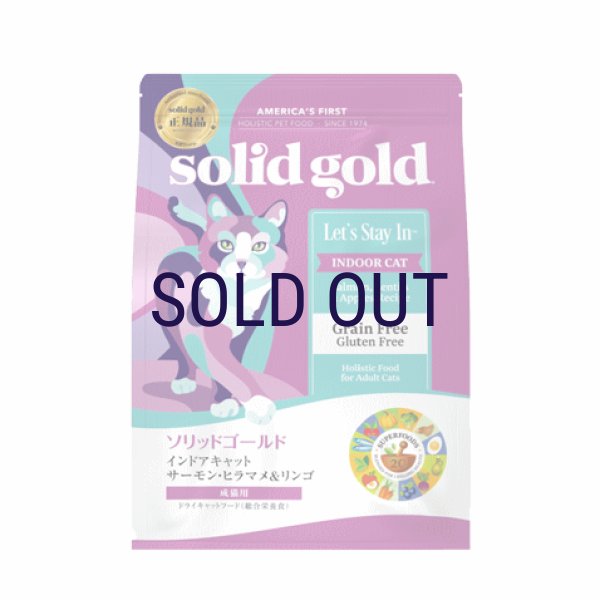 画像1: ソリッドゴールド インドアキャット (1)