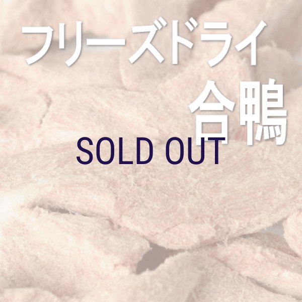 画像2: ルイトモ フリーズドライ 合鴨ささみ 25ｇ (2)