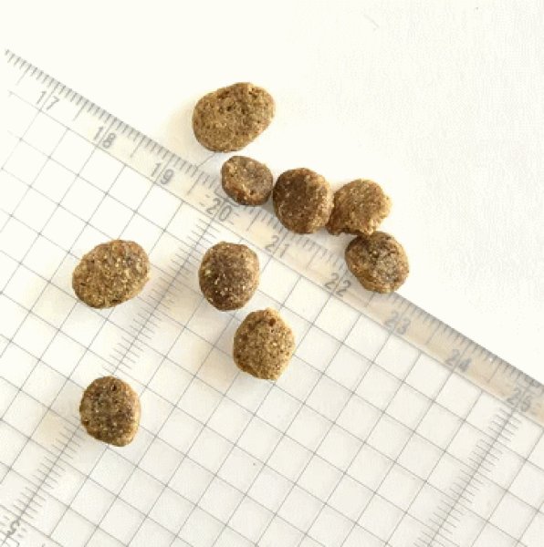 画像2: ペットカインド(トライプドライ)グリーントライプ&ワイルドサーモン 小粒 (2)