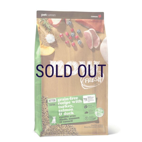 画像1: お一人様何回でもOK【無料サンプル（少量パック）（一度のご注文では5種類まで）】ナウフレッシュ グレインフリー キトン (1)