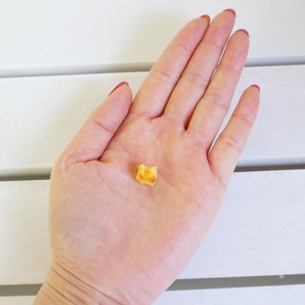 画像3: ドッグステーブル 焼き芋 キューブ 90g (3)