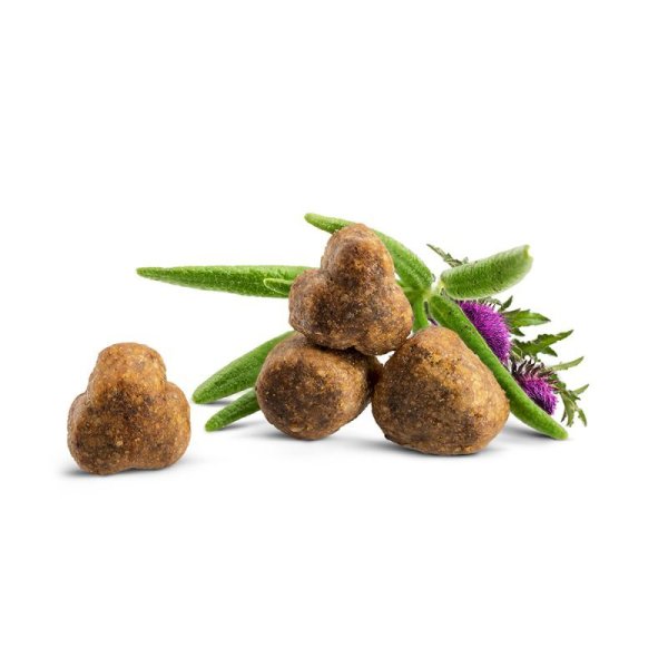 画像2: ハッピーキャット ライト (2)