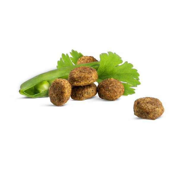 画像2: ハッピーキャット ファーム ラム (2)