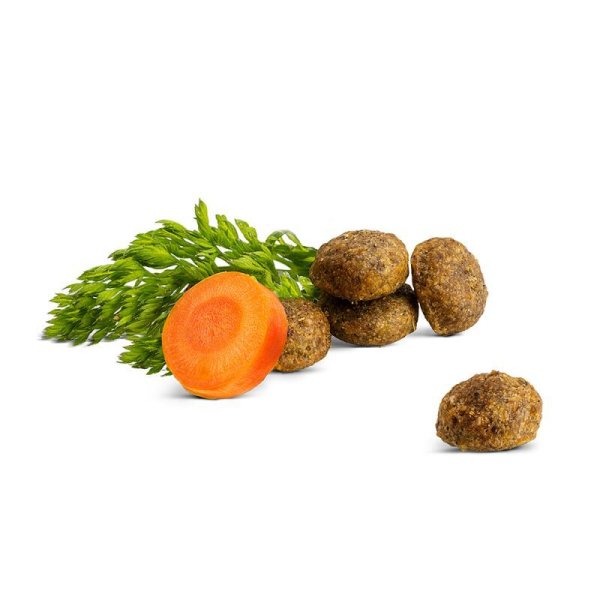 画像2: ハッピーキャット ファーム ダック (2)