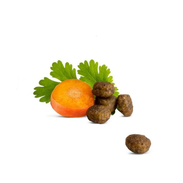 画像2: ハッピーキャット ジュニア ファーム ポルトリー (2)