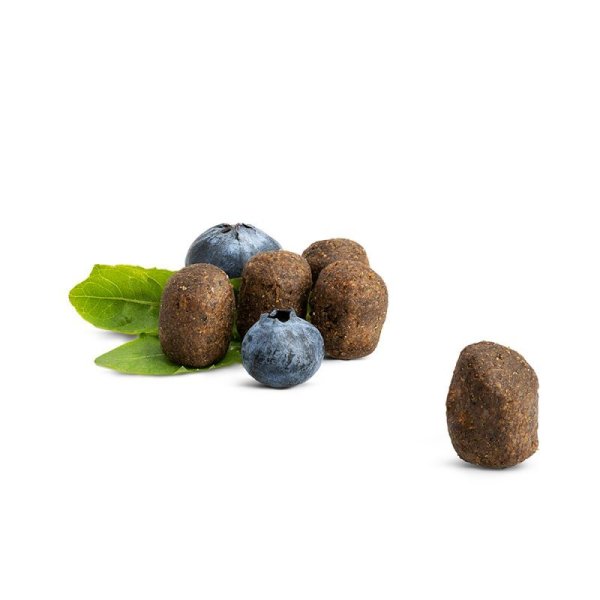 画像2: ハッピーキャット ファーム ポルトリー (2)