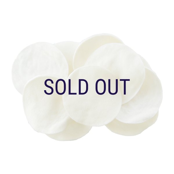 画像3: ペッツルート トラッドホワイトガム チップス 10枚入り (3)