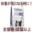 画像1: お一人様何回でもOK【無料サンプル（少量パック）（一度のご注文では5種類まで）】ヤラー オーガニックキャットフード ステアライズド (1)