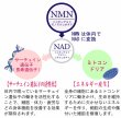 画像2: 【1日でも長く一緒に居たいから！】NMNサプリ 動物用仙寿豆（せんず） (2)