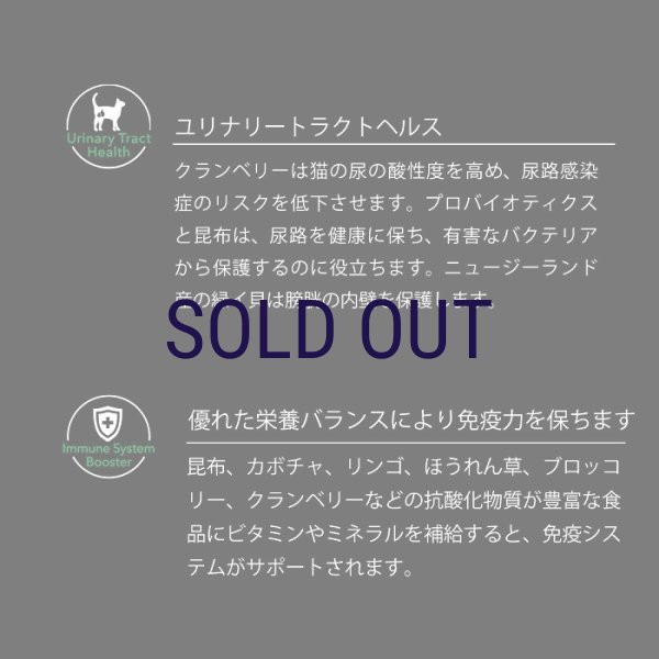 画像5: 【メーカー欠品（リニューアル予定）】ニュートライプ キャットフード サーモン＆チキン with グリーントライプ (5)