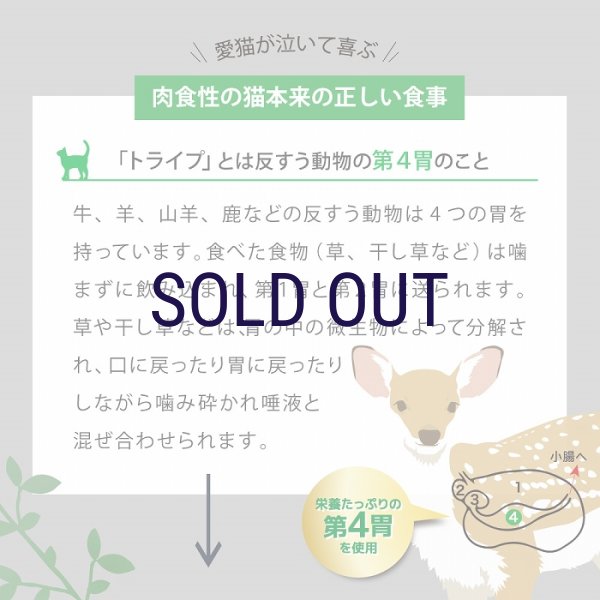 画像6: 【メーカー欠品（リニューアル予定）】ニュートライプ キャットフード サーモン＆チキン with グリーントライプ (6)