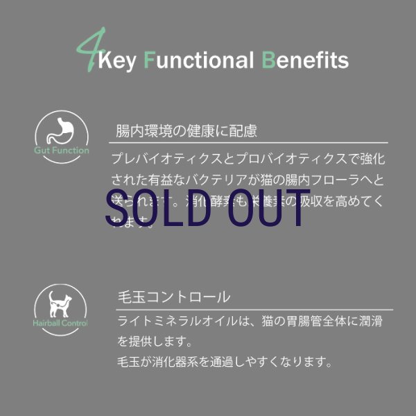 画像4: 【メーカー欠品（リニューアル予定）】ニュートライプ キャットフード サーモン＆チキン with グリーントライプ (4)