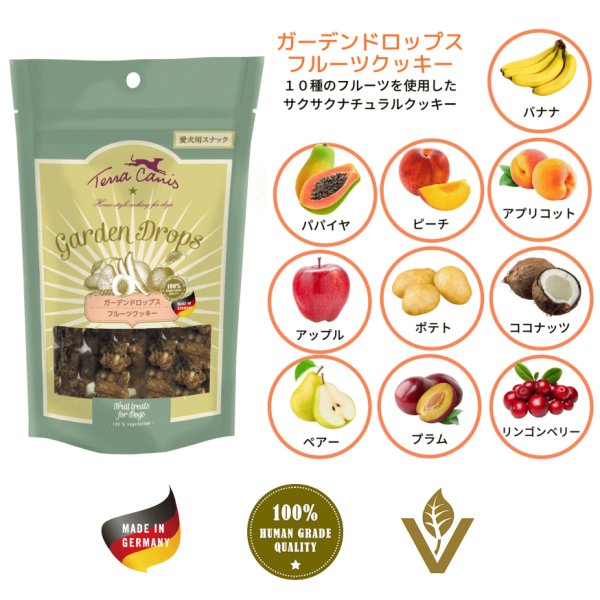 画像1: テラカニス ガーデンドロップス フルーツクッキー 50ｇ※多少の砕けはご容赦ください。 (1)