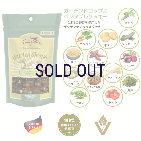 画像1: テラカニス ガーデンドロップス ベジタブルクッキー 50ｇ※多少の砕けはご容赦ください。 (1)