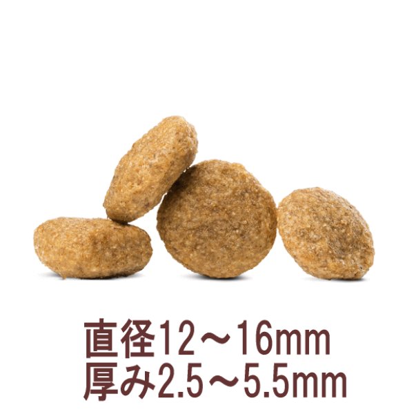 ハッピードッグ VETリーナル(腎臓ケア)4kg 犬 療法食 ドッグフード Amazon.co.jp: HAPPY DOG (ハッピードッグ) VET リーナル (腎臓