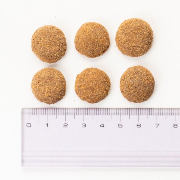 画像2: ブリット プレミアム by ネイチャー アダルト  L(大粒) (2)