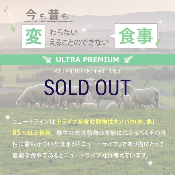 画像4: ニュートライプ キャットフード缶 サーモン＆グリーントライプ 95ｇ (4)