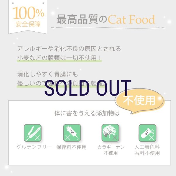 画像9: ニュートライプ キャットフード缶 サーモン＆グリーントライプ 95ｇ (9)