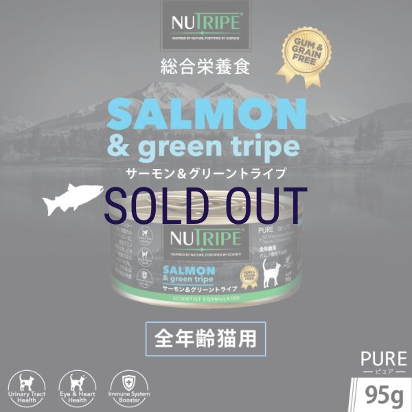 画像1: ニュートライプ キャットフード缶 サーモン＆グリーントライプ 95ｇ (1)