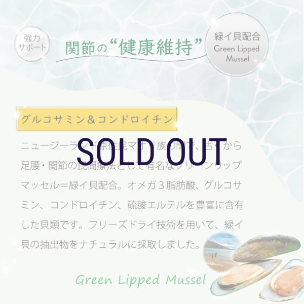 画像10: ニュートライプ キャットフード缶 サーモン＆グリーントライプ 95ｇ (10)