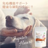 【腫瘍や免疫機能が気になる時に！】CPL ジュピターハート