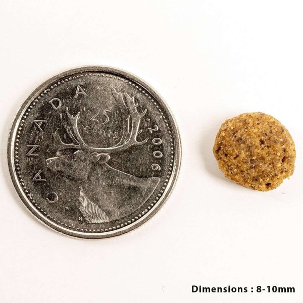 画像2: お一人様何回でもOK【無料サンプル(少量パック)(一度のご注文では5種類まで)】TRIPE DRY(トライプドライ)ウェイトマネージメント SAP ラムトライプ 小粒 (2)