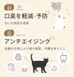 画像4: 【お試し特価（お一人様1個限定）】腎臓ケアサプリ シルキャット（犬用：シルクフルと中身は同じです。）3ｇｘ7包 (4)