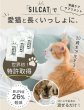 画像1: 【お試し特価（お一人様1個限定）】腎臓ケアサプリ シルキャット（犬用：シルクフルと中身は同じです。）3ｇｘ7包 (1)