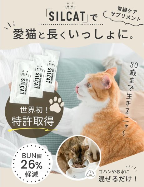 画像1: 【お試し特価（お一人様1個限定）】腎臓ケアサプリ シルキャット（犬用：シルクフルと中身は同じです。）3ｇｘ7包 (1)