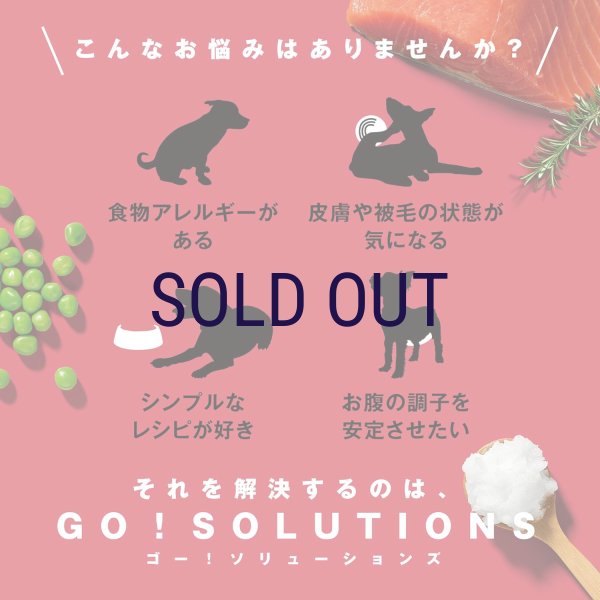 画像3: お一人様何回でもOK【無料サンプル（少量パック）（一度のご注文では5種類まで）】go！センシティブLID ドッグフード (3)
