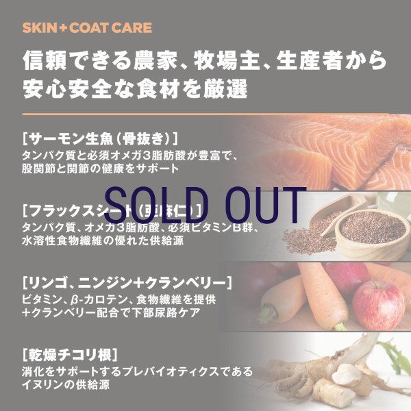 画像5: お一人様何回でもOK【無料サンプル（少量パック）（一度のご注文では5種類まで）】go！皮膚+被毛ケア キャットフード (5)