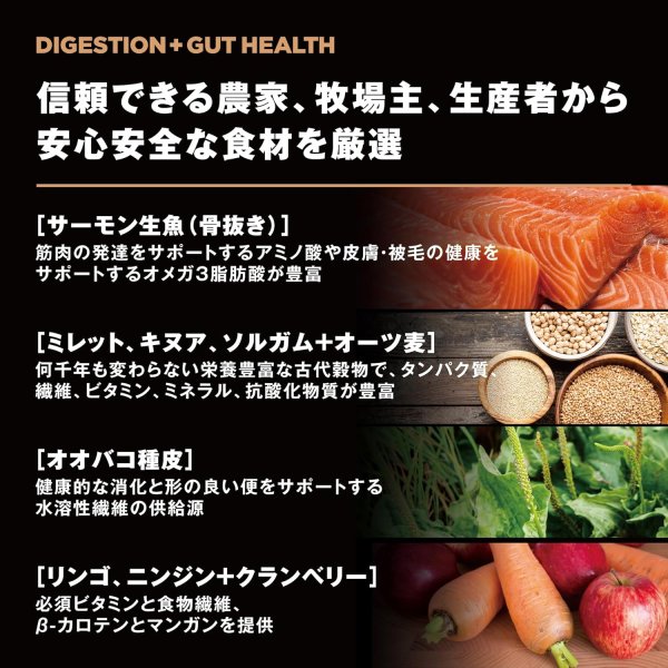 画像5: お一人様何回でもOK【無料サンプル(少量パック)(一度のご注文では5種類まで)】go!消化+腸の健康ケア ドッグフード (5)