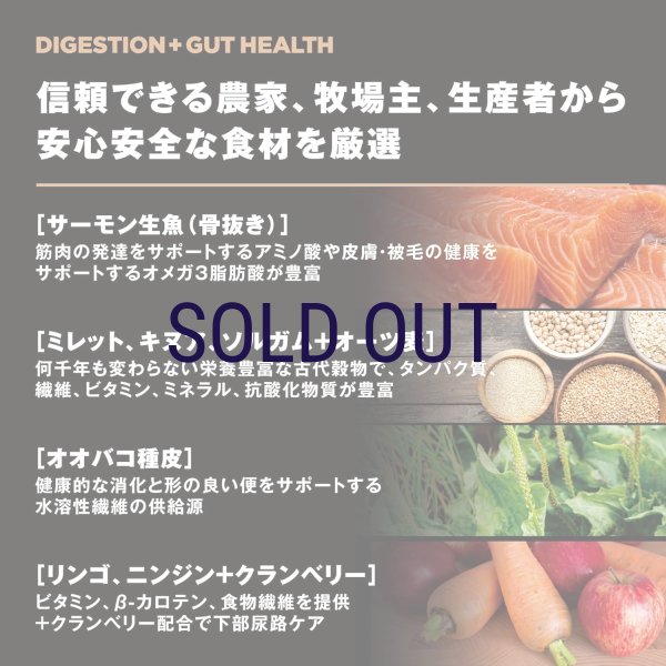 画像5: お一人様何回でもOK【無料サンプル（少量パック）（一度のご注文では5種類まで）】go！消化+腸の健康ケア キャットフード (5)