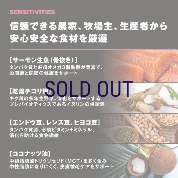 画像5: お一人様何回でもOK【無料サンプル（少量パック）（一度のご注文では5種類まで）】go！センシティブLID ドッグフード (5)