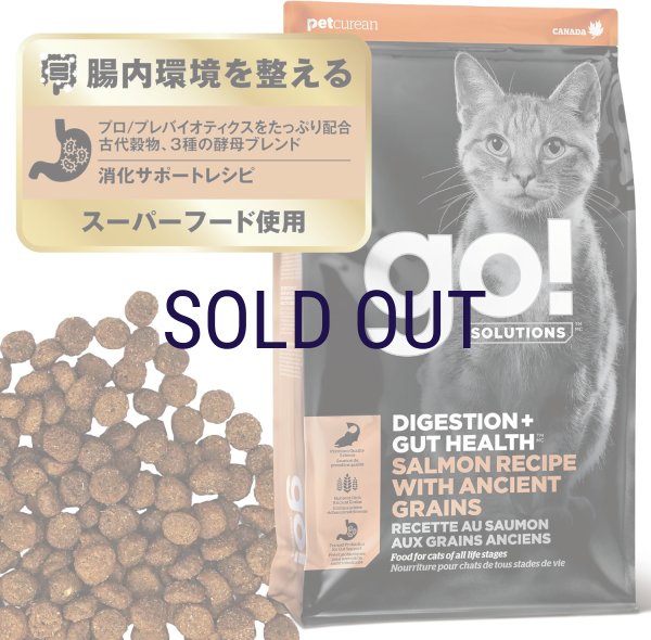 画像1: お一人様何回でもOK【無料サンプル（少量パック）（一度のご注文では5種類まで）】go！消化+腸の健康ケア キャットフード (1)