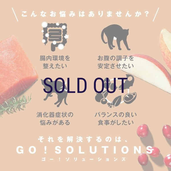 画像3: お一人様何回でもOK【無料サンプル（少量パック）（一度のご注文では5種類まで）】go！消化+腸の健康ケア キャットフード (3)