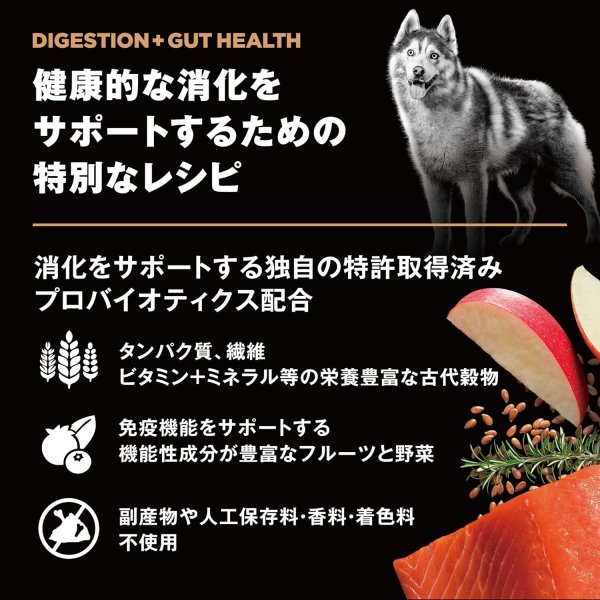 画像6: お一人様何回でもOK【無料サンプル(少量パック)(一度のご注文では5種類まで)】go!消化+腸の健康ケア ドッグフード (6)