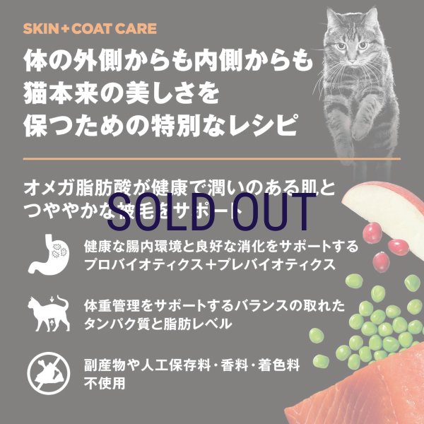 画像6: お一人様何回でもOK【無料サンプル（少量パック）（一度のご注文では5種類まで）】go！皮膚+被毛ケア キャットフード (6)