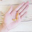 画像2: 【期限特価】ボンルパ 豚のこみみちゃん 50ｇ (2)