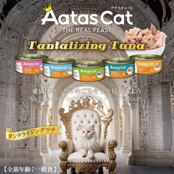 画像3: アタスキャット タンタライジングツナ ツナ＆サーディン 80ｇ (3)