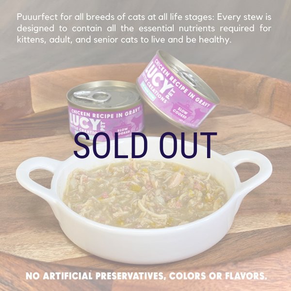 画像2: ルーシーペット キャットシチュー缶 チキン 70g (2)