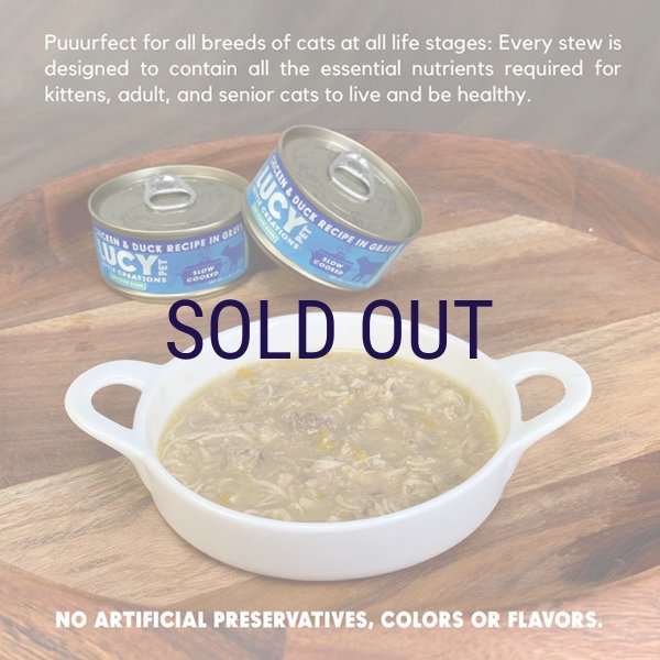 画像2: ルーシーペット キャットシチュー缶 チキン&ダック 70g (2)