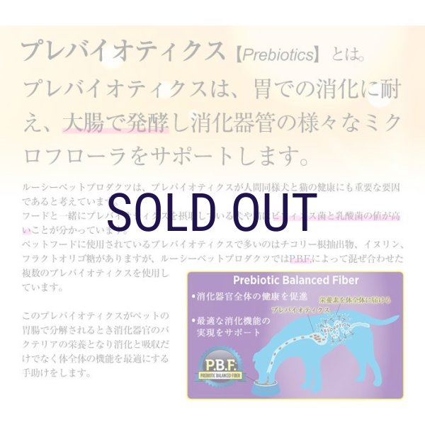 画像4: ルーシーペット キャットシチュー缶 チキン&ダック 70g (4)