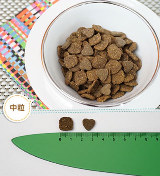 画像5: フォルツァ10(FORZA10) ドッグフード リナールアクティブ (5)