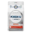 画像1: 【5月23日発売開始予定】フォルツァ10（FORZA10） キャットフード リナールアクティブ (1)
