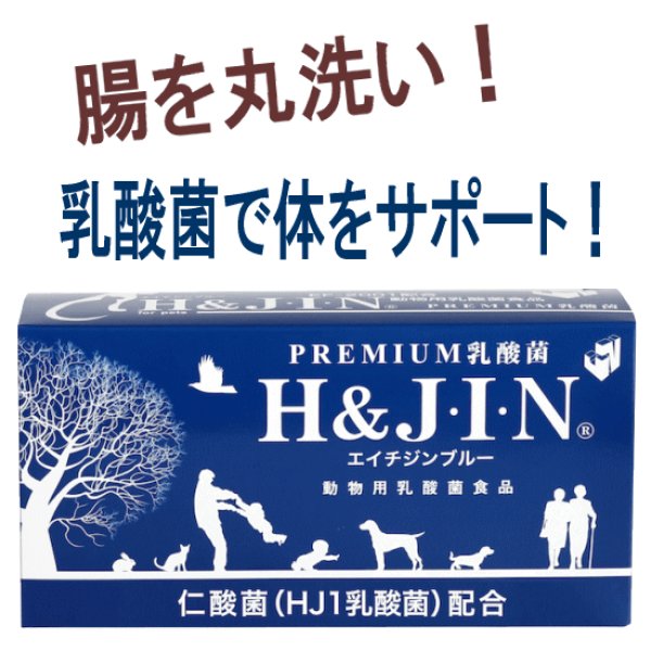 画像1: 動物用乳酸菌食品H＆JIN（ジン） (1)