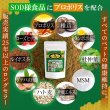 画像1: 【いつまでも若々しく元気な毎日を！】SODプロポリス ベストブレンド (1)